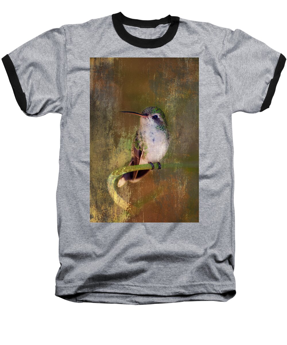 Hummer Baseball T-Shirt featuring the photograph Pretty Hummer by Barbara Manis