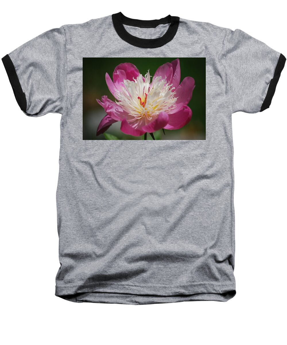 Peony Baseball T-Shirt featuring the photograph Pretty in Pink by Lori Tambakis
