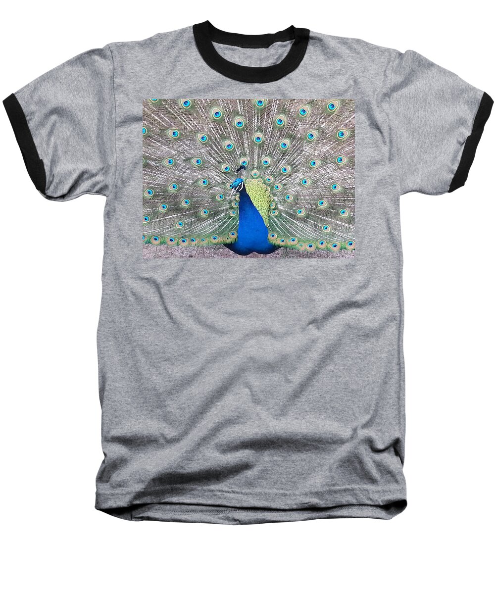 Peacock Baseball T-Shirt featuring the photograph Pride by Caryl J Bohn