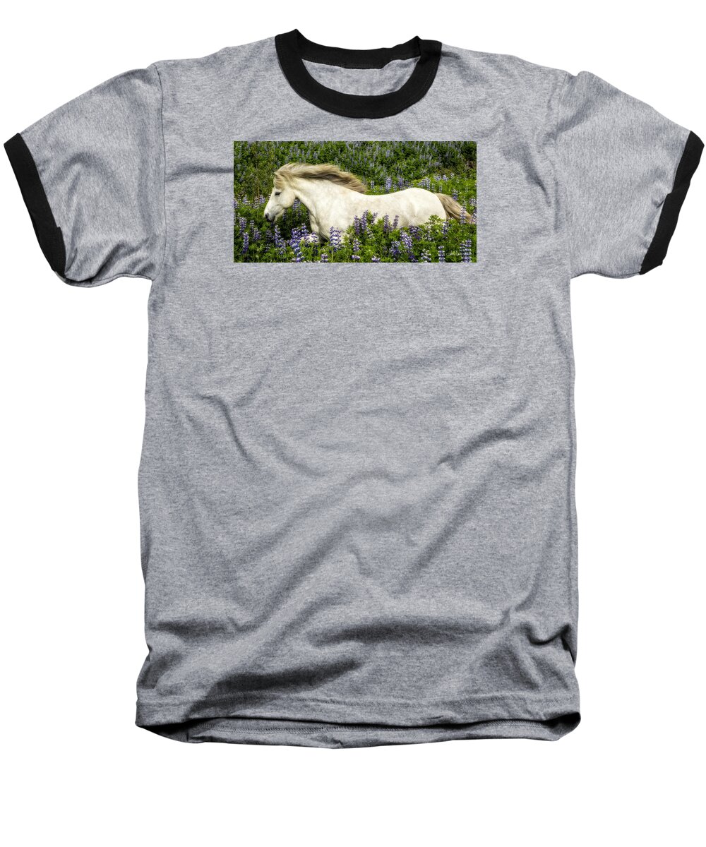 Equine Baseball T-Shirt featuring the photograph Prince of the Lupine by Joan Davis
