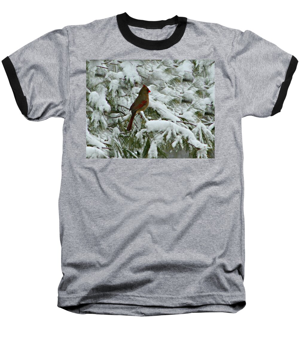 Macro Baseball T-Shirt featuring the photograph Pristine Beauty by Barbara S Nickerson
