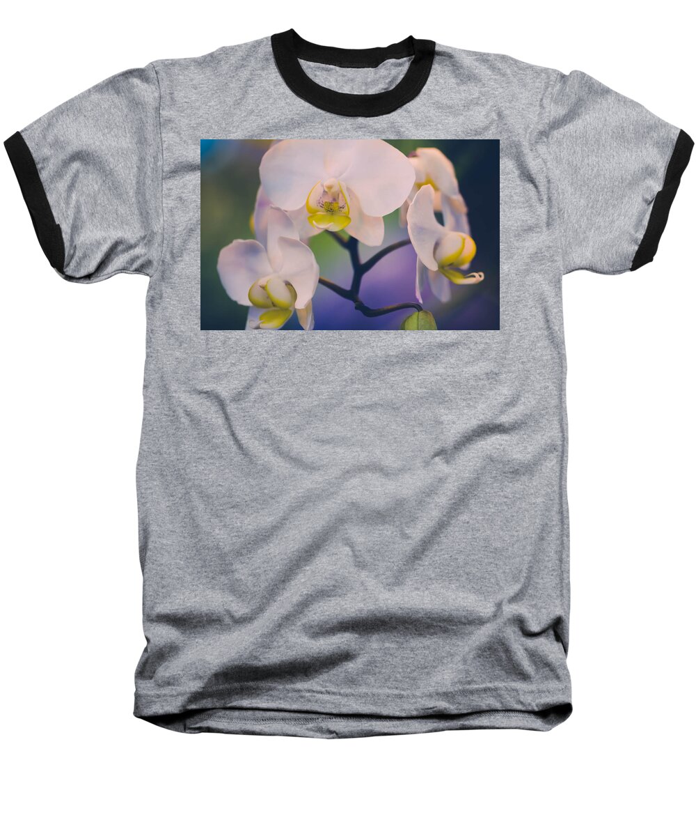 Orchids Baseball T-Shirt featuring the photograph Pure by Sara Frank