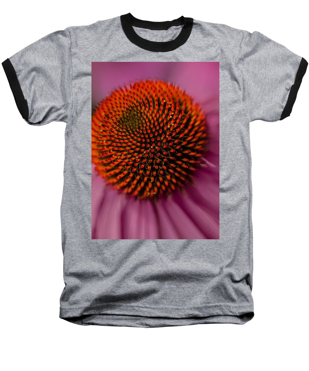 Close-up Baseball T-Shirt featuring the photograph Purple Coneflower by David Smith
