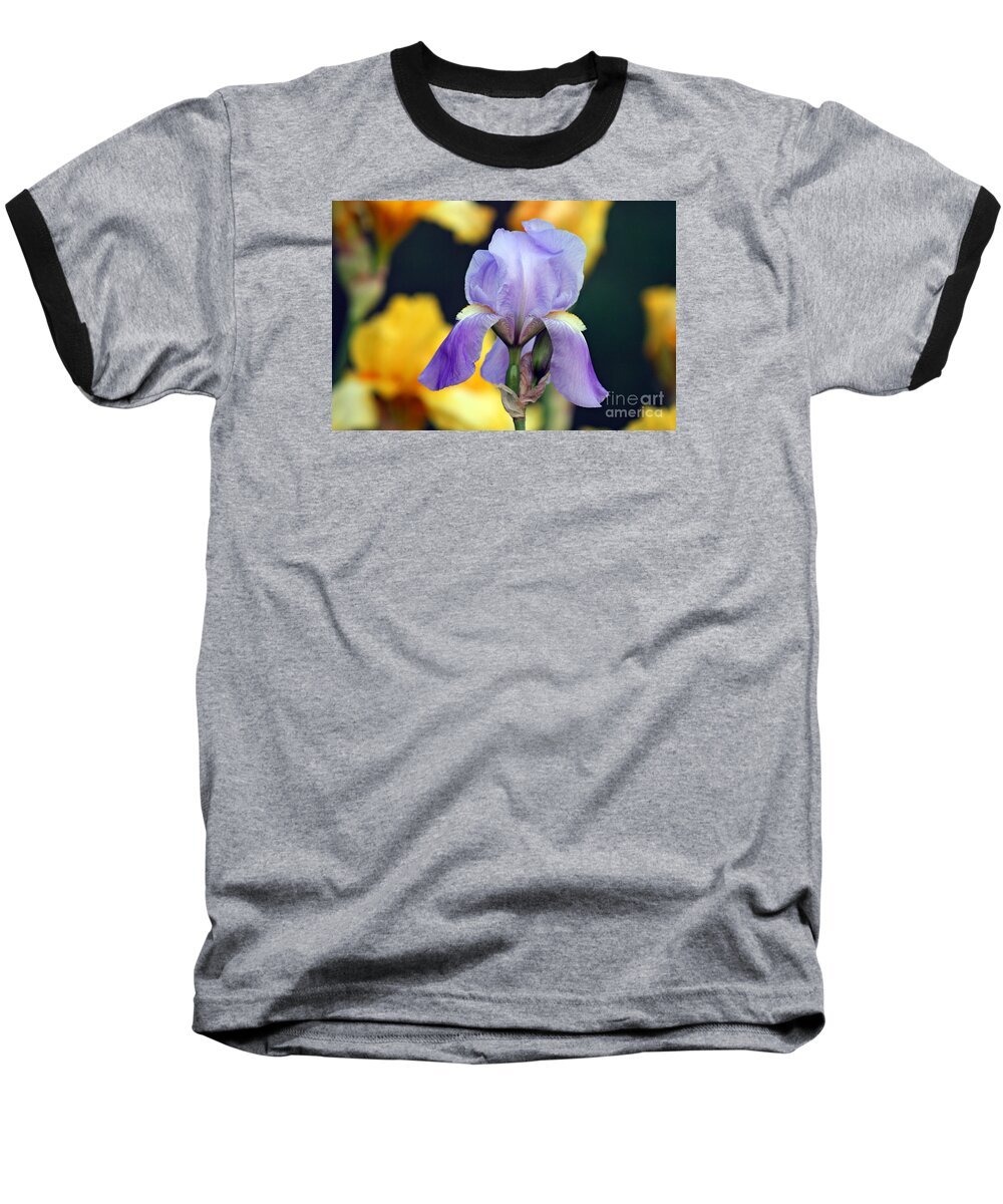 Flower Baseball T-Shirt featuring the photograph Purple Iris by Karen Adams