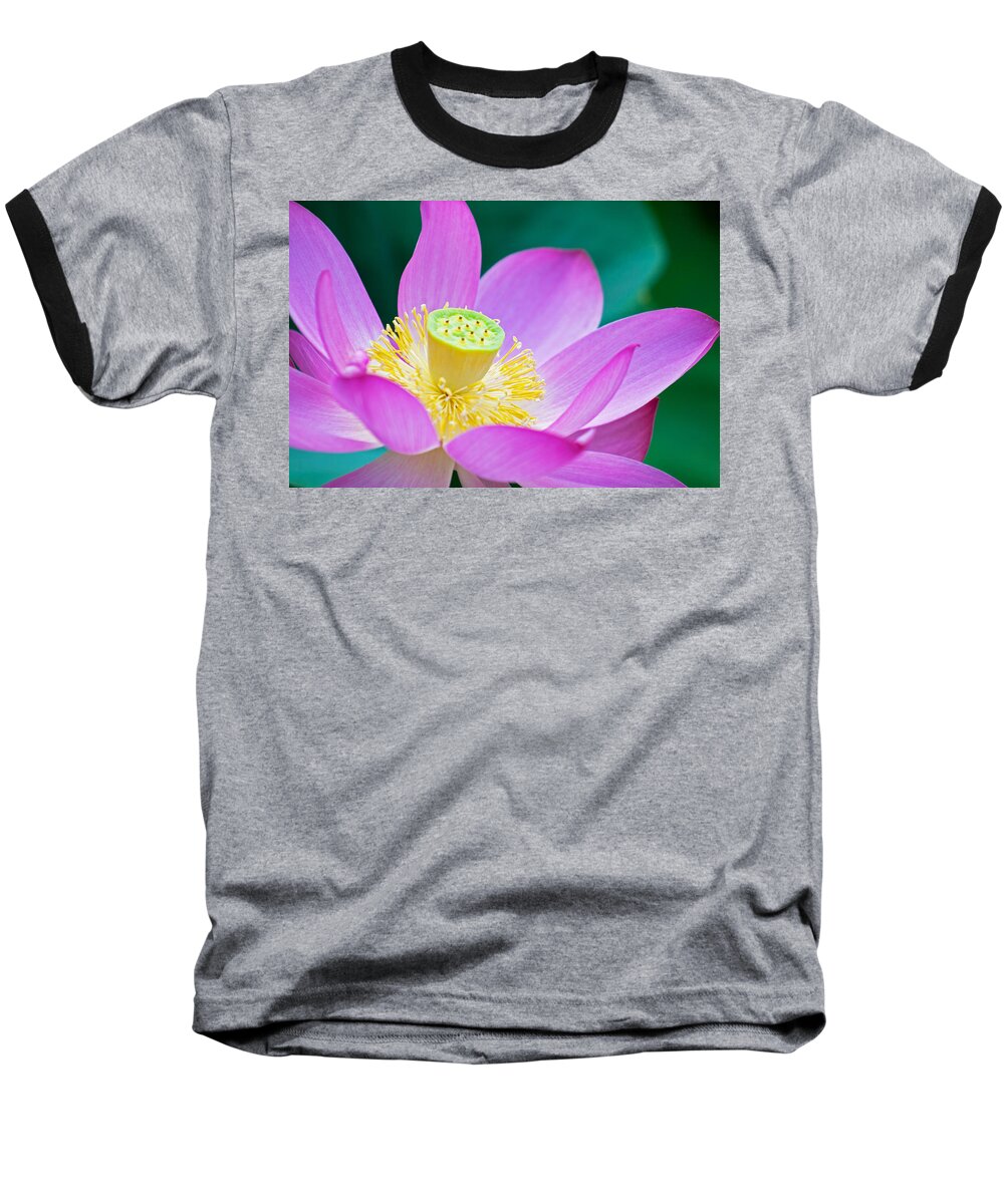 Lotus Baseball T-Shirt featuring the photograph Purple Lotus Blossom by Michael Porchik