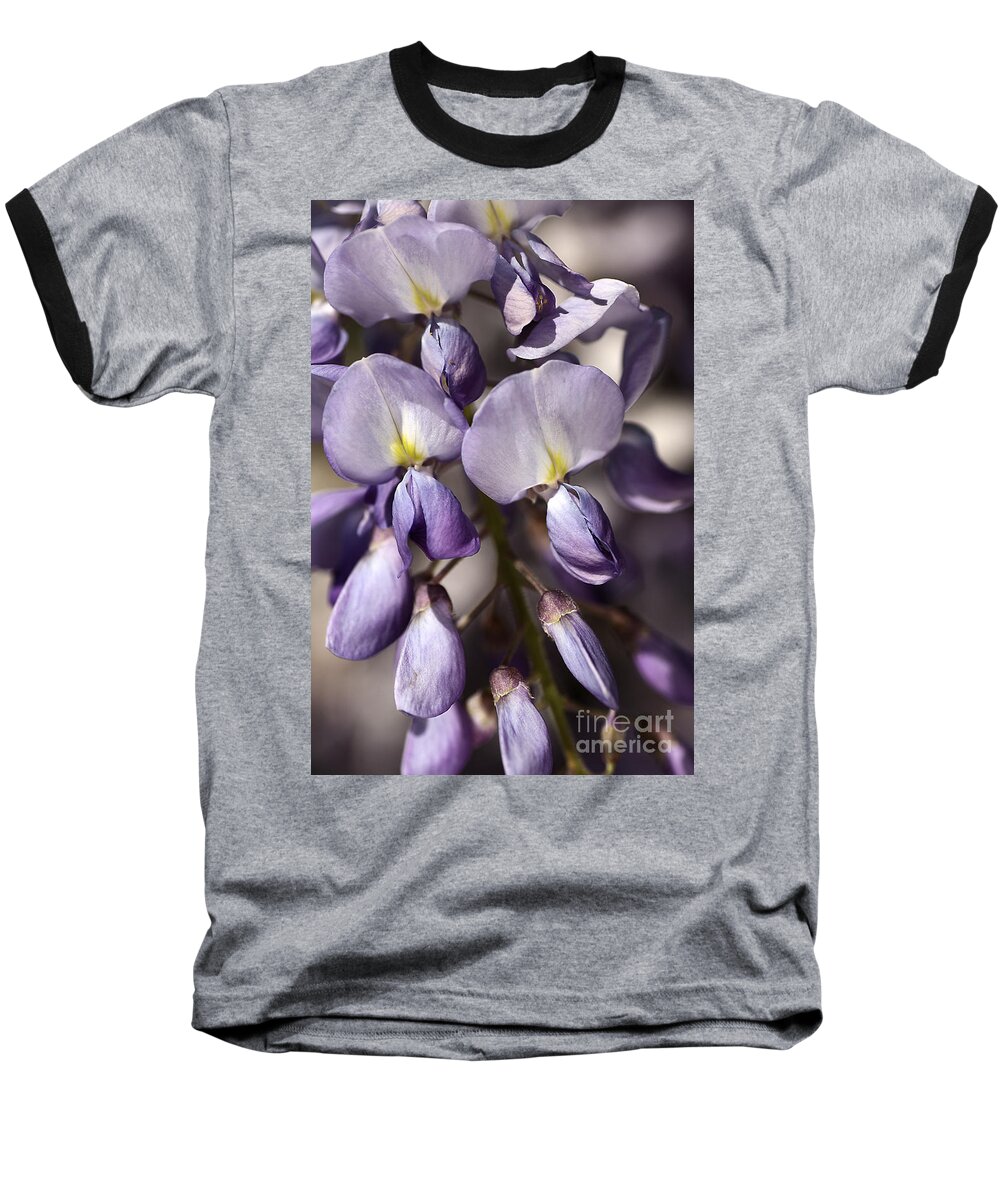 Wisteria Baseball T-Shirt featuring the photograph Purple Of Wisteria by Joy Watson