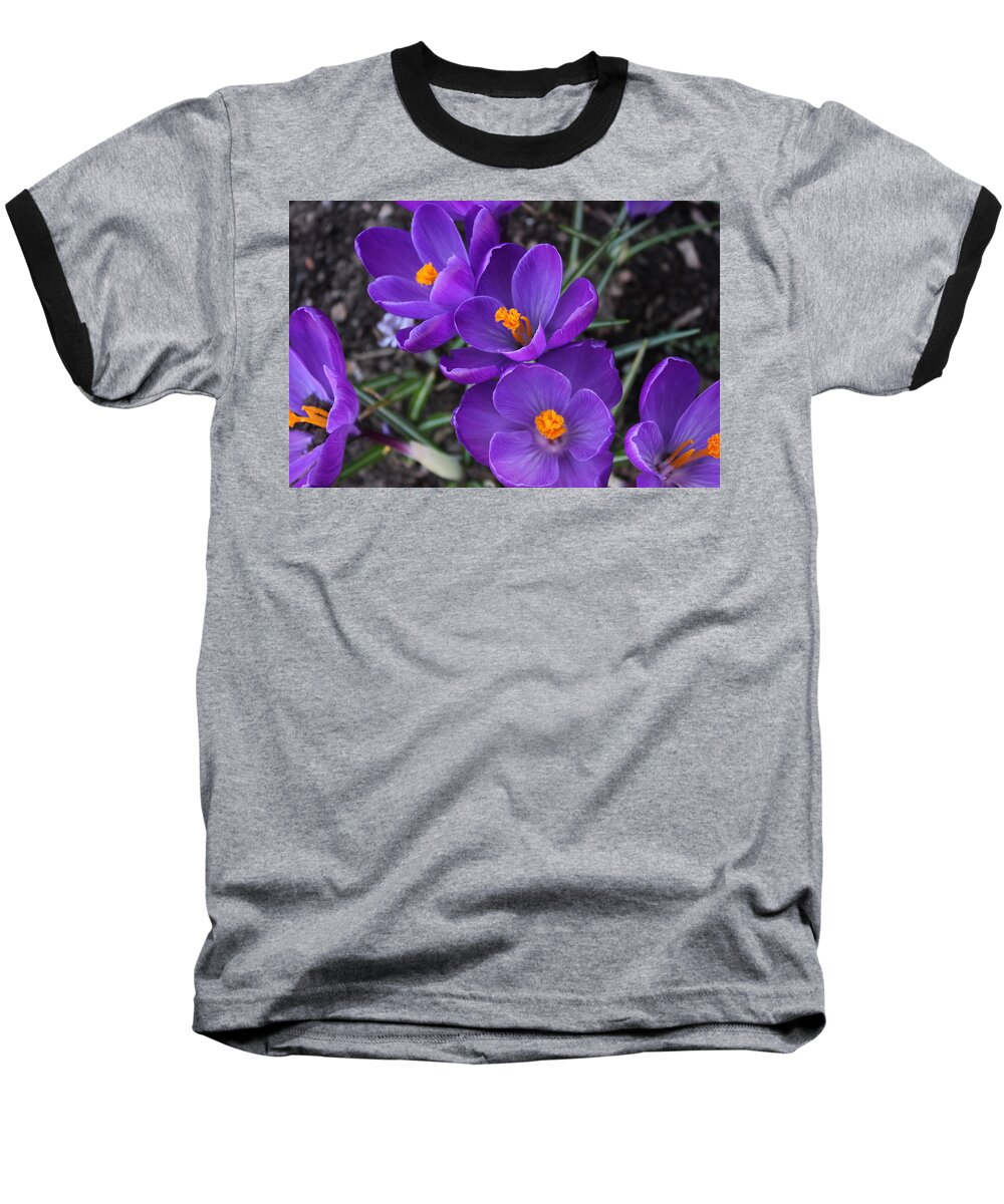 Spring Baseball T-Shirt featuring the photograph Purple Passion by Judy Palkimas
