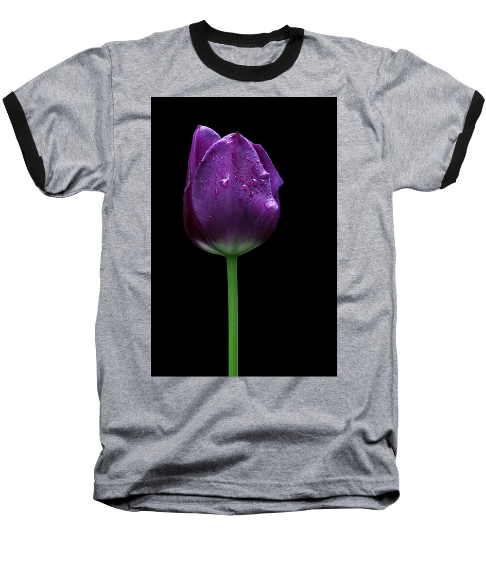 Beautiful Baseball T-Shirt featuring the photograph Purple tulip by Ivan Slosar