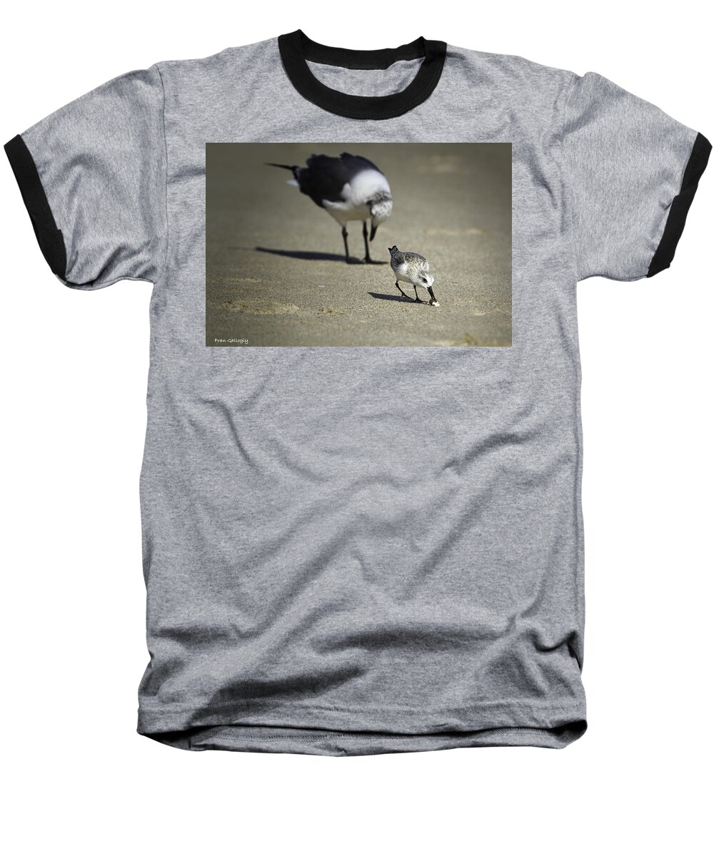 Birds Baseball T-Shirt featuring the photograph Quick Bite by Fran Gallogly