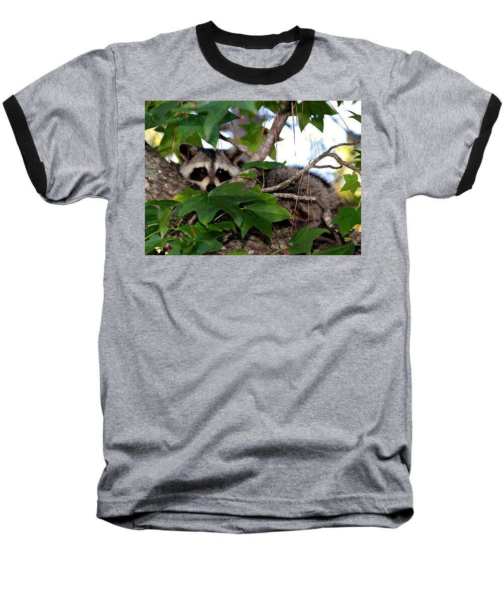  Baseball T-Shirt featuring the photograph Raccoon Eyes by Matalyn Gardner