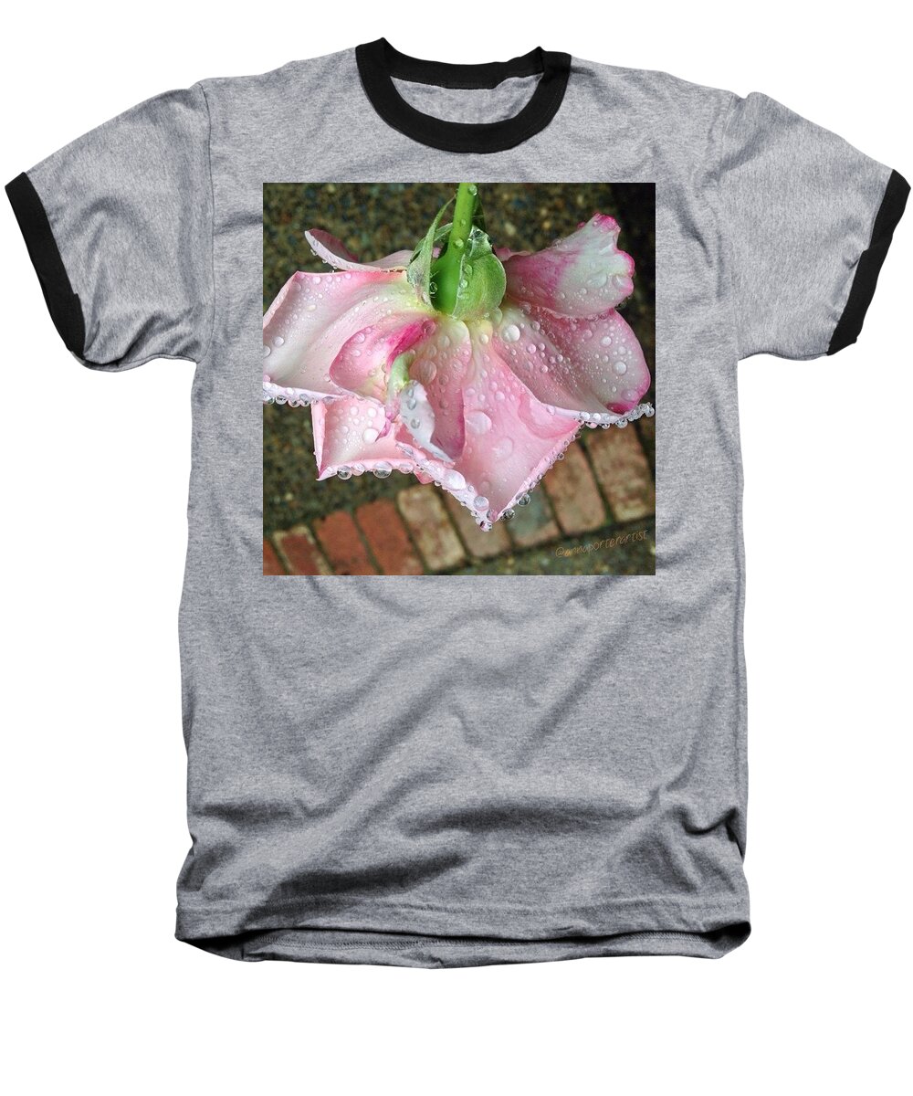 Raindrops On Roses Baseball T-Shirt featuring the photograph Raindrops On Roses by Anna Porter