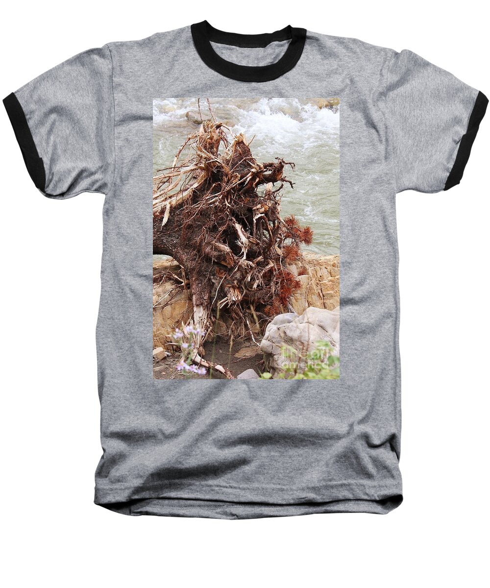 Tree Baseball T-Shirt featuring the photograph Ravaged Roots by Ann E Robson