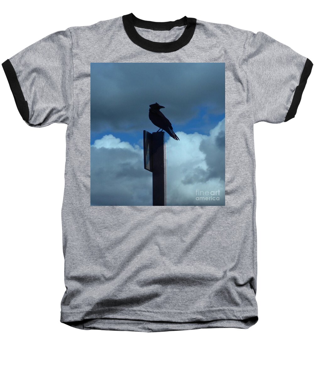 Sky Baseball T-Shirt featuring the photograph Raven Checking The Wind by Jacklyn Duryea Fraizer