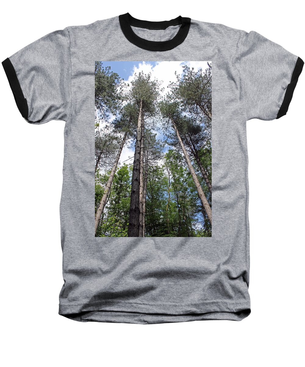 Woods Baseball T-Shirt featuring the photograph Reach for the Sky by Tony Murtagh