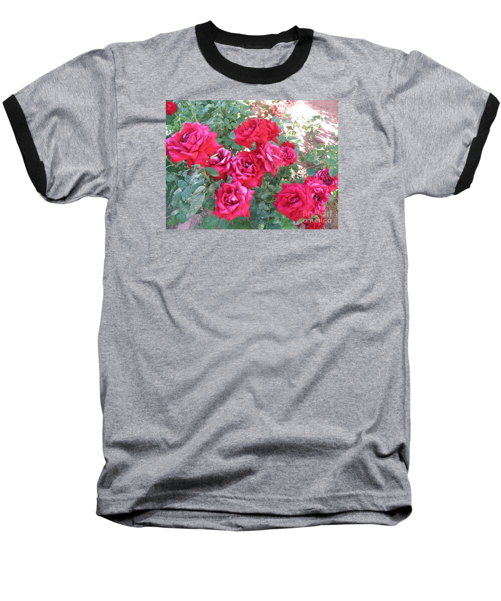 Reds Baseball T-Shirt featuring the photograph Red and Pink Roses by Chrisann Ellis