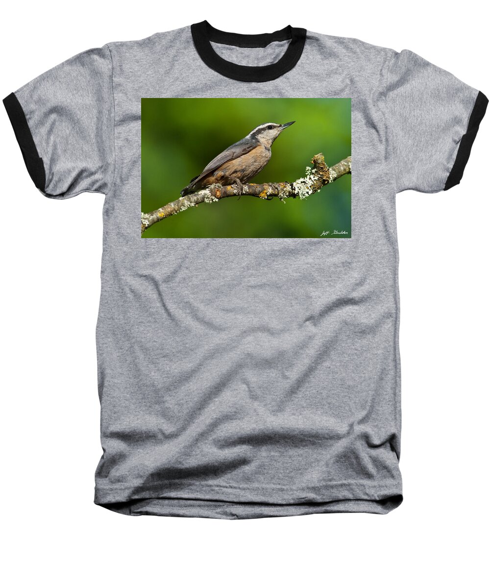 Animal Baseball T-Shirt featuring the photograph Red Breasted Nuthatch in a Tree by Jeff Goulden