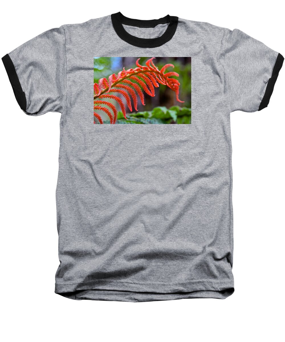 Plants Baseball T-Shirt featuring the photograph Autumn Fern in Hawaii by Venetia Featherstone-Witty