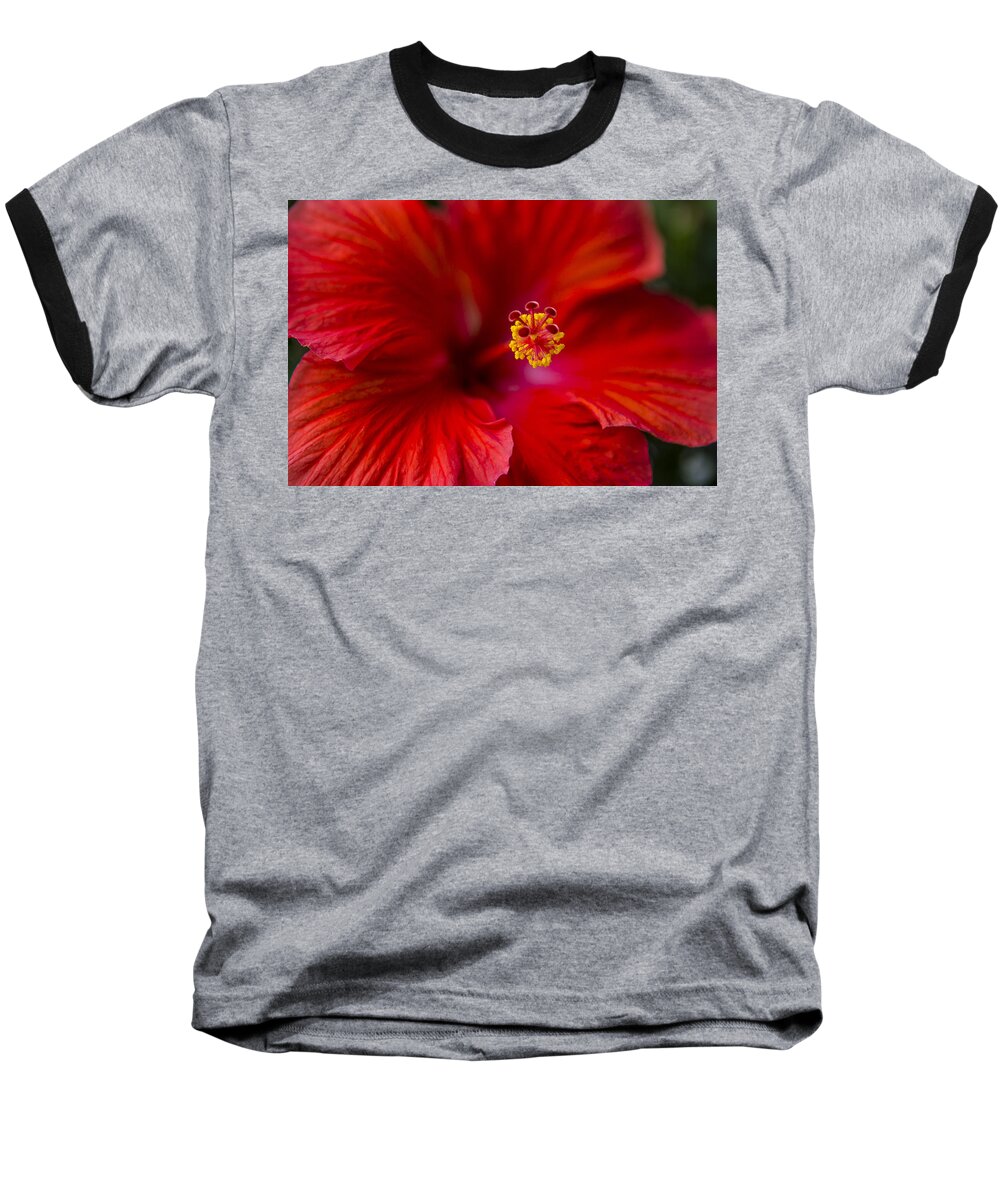 Red Baseball T-Shirt featuring the photograph Red Hibiscus by Eduard Moldoveanu