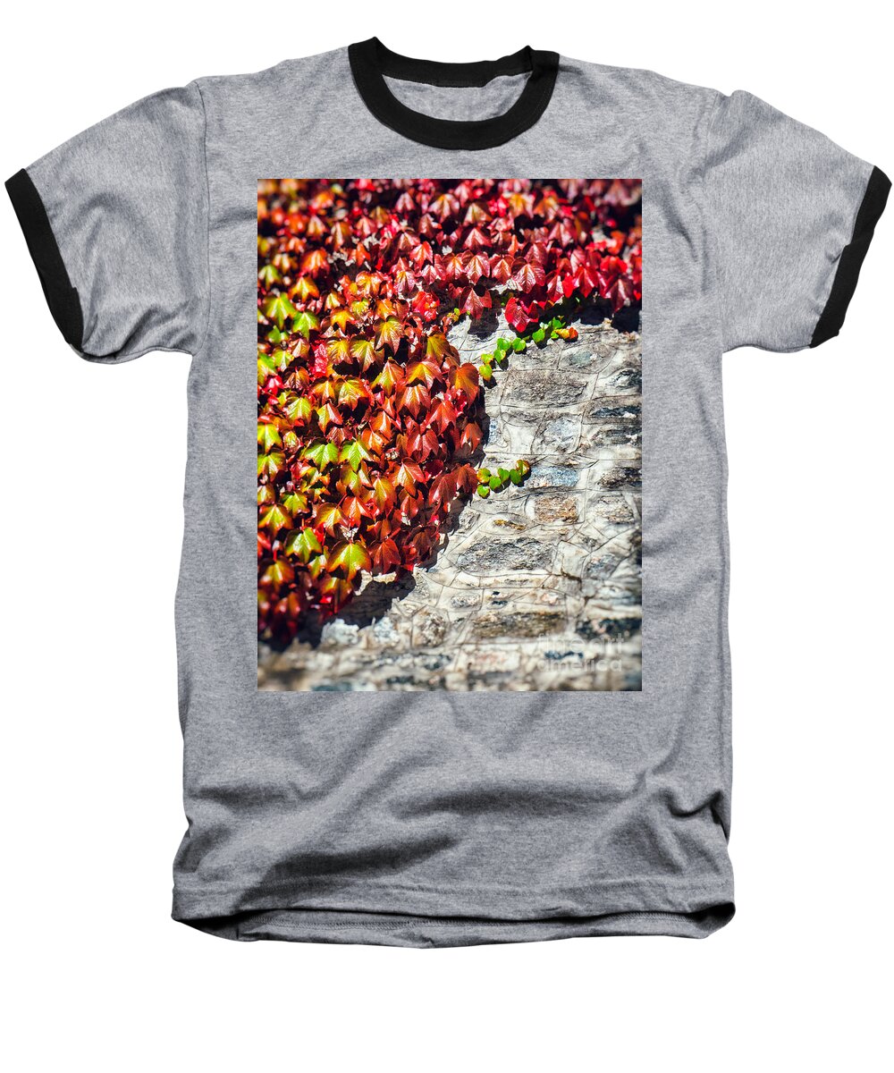 Atumn Baseball T-Shirt featuring the photograph Red ivy on wall by Silvia Ganora