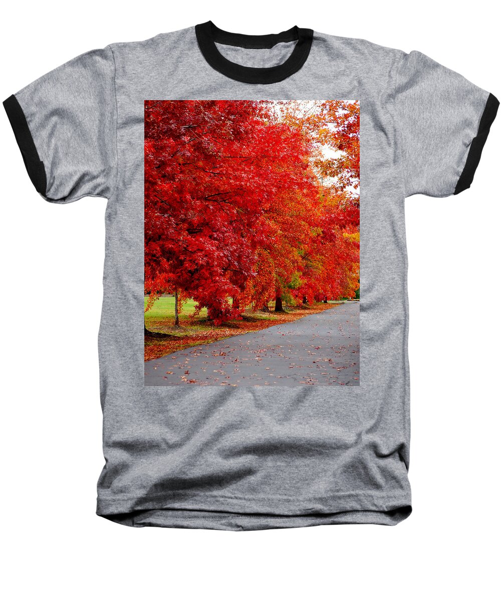 Red Leaf Leaves Fall Colors Road Wet Lined Chico Ca Tree Baseball T-Shirt featuring the photograph Red Leaf Road by Holly Blunkall