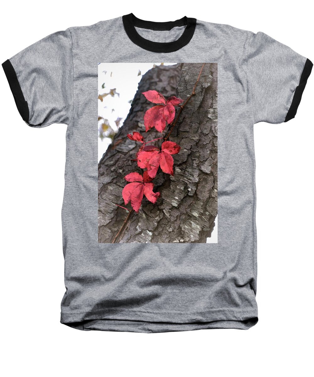 Leaves Baseball T-Shirt featuring the photograph Red Leaves on Bark by Phyllis Meinke