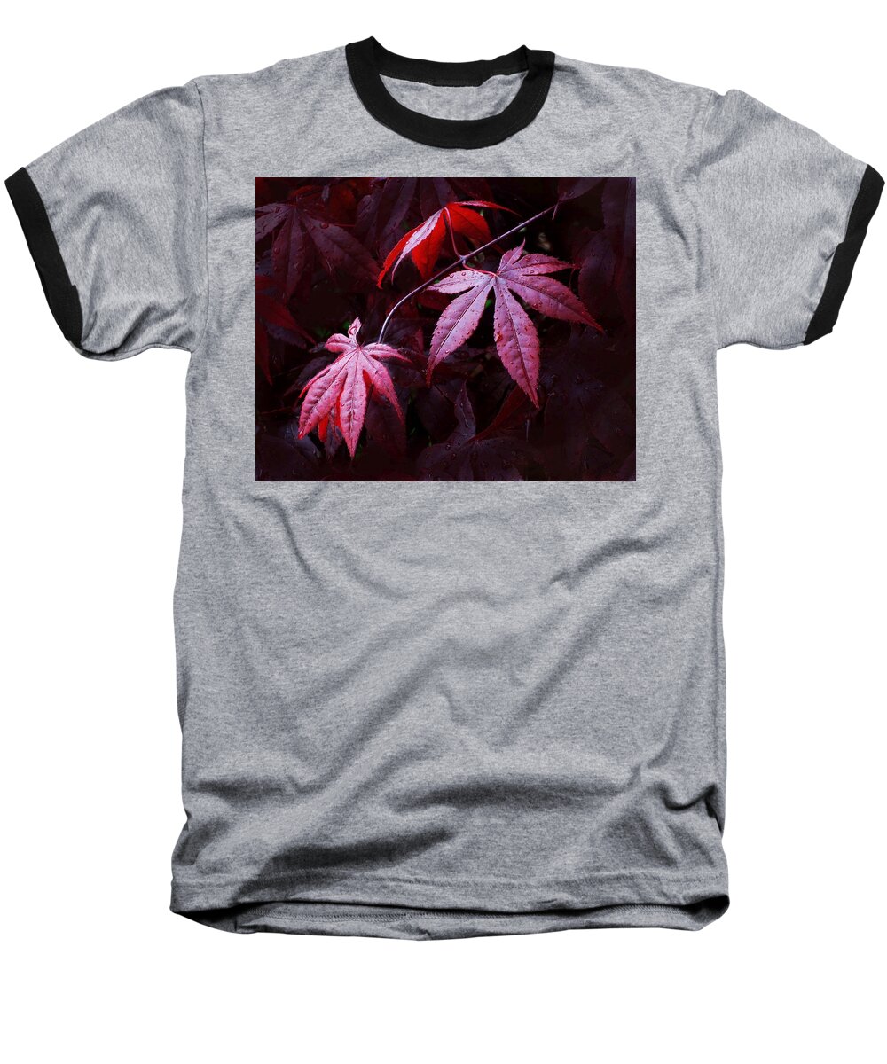 Burgundy Baseball T-Shirt featuring the photograph Red Maple Trio by Carolyn Jacob