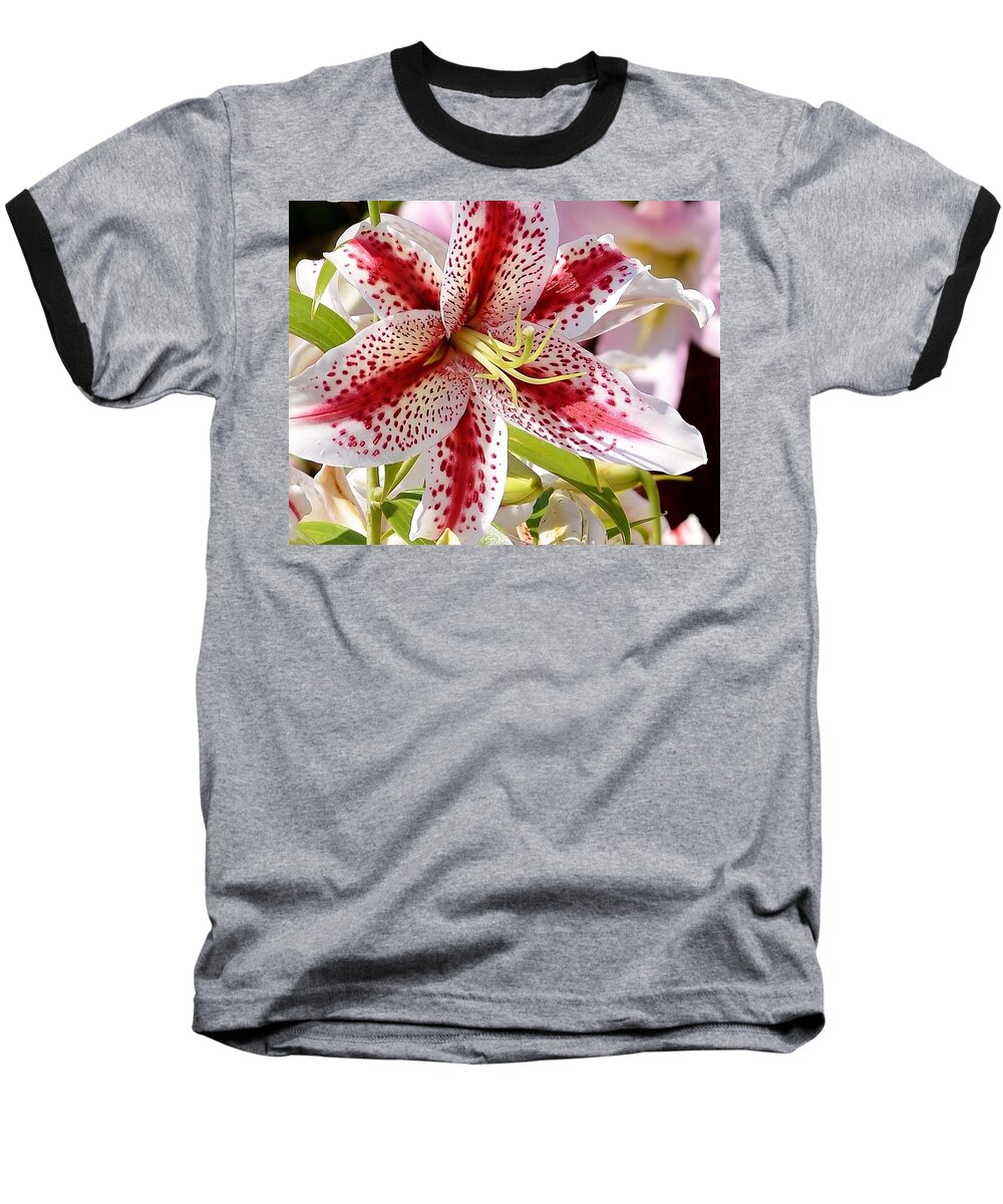 Lily Baseball T-Shirt featuring the photograph Red Stripes and Spots - Lily by Kim Bemis