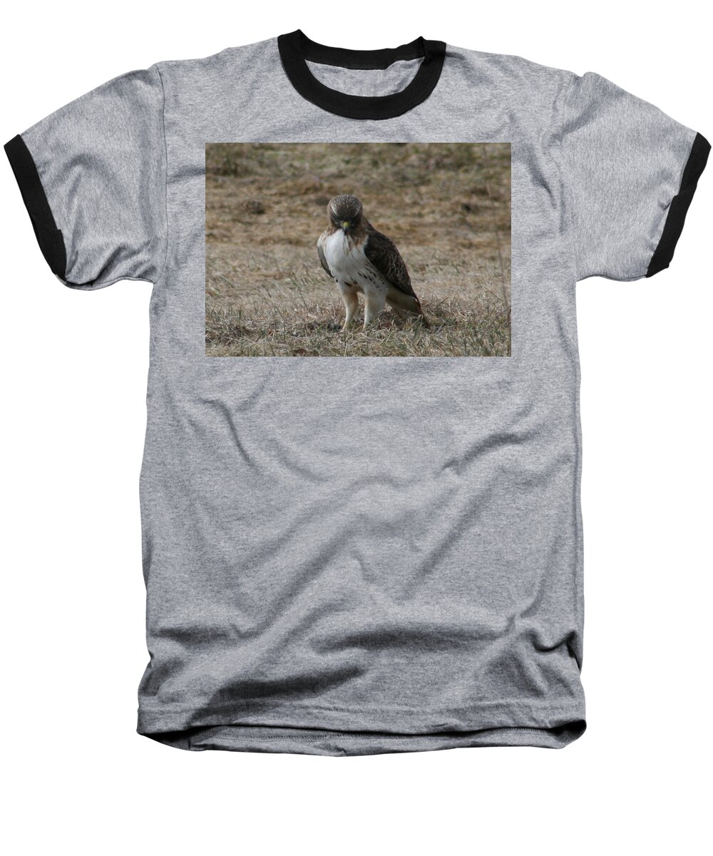 Red Tailed Hawk Baseball T-Shirt featuring the photograph Red Tailed Hawk by Neal Eslinger