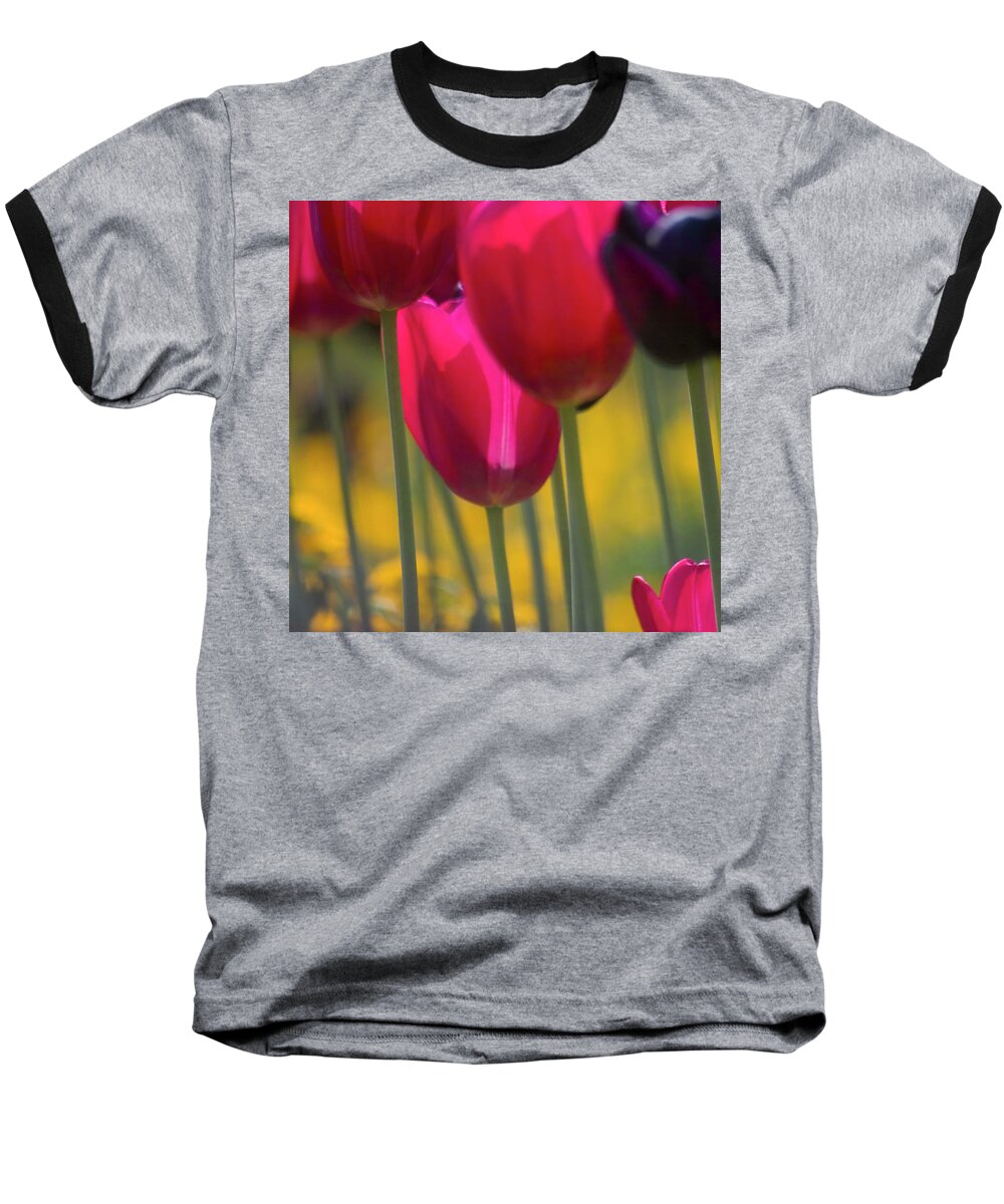 Tulip Baseball T-Shirt featuring the photograph Red Tulips by Heiko Koehrer-Wagner