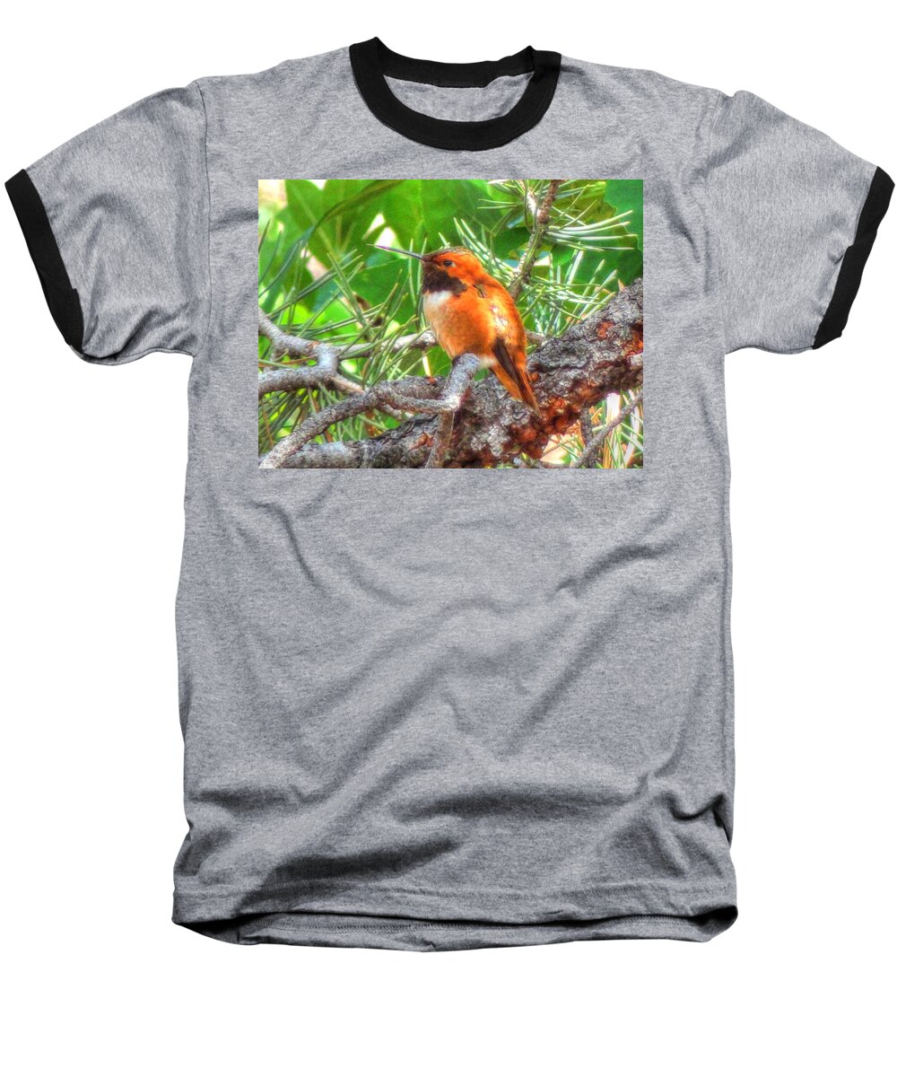 Rufus Baseball T-Shirt featuring the photograph Redheaded Hummingbird II by Lanita Williams