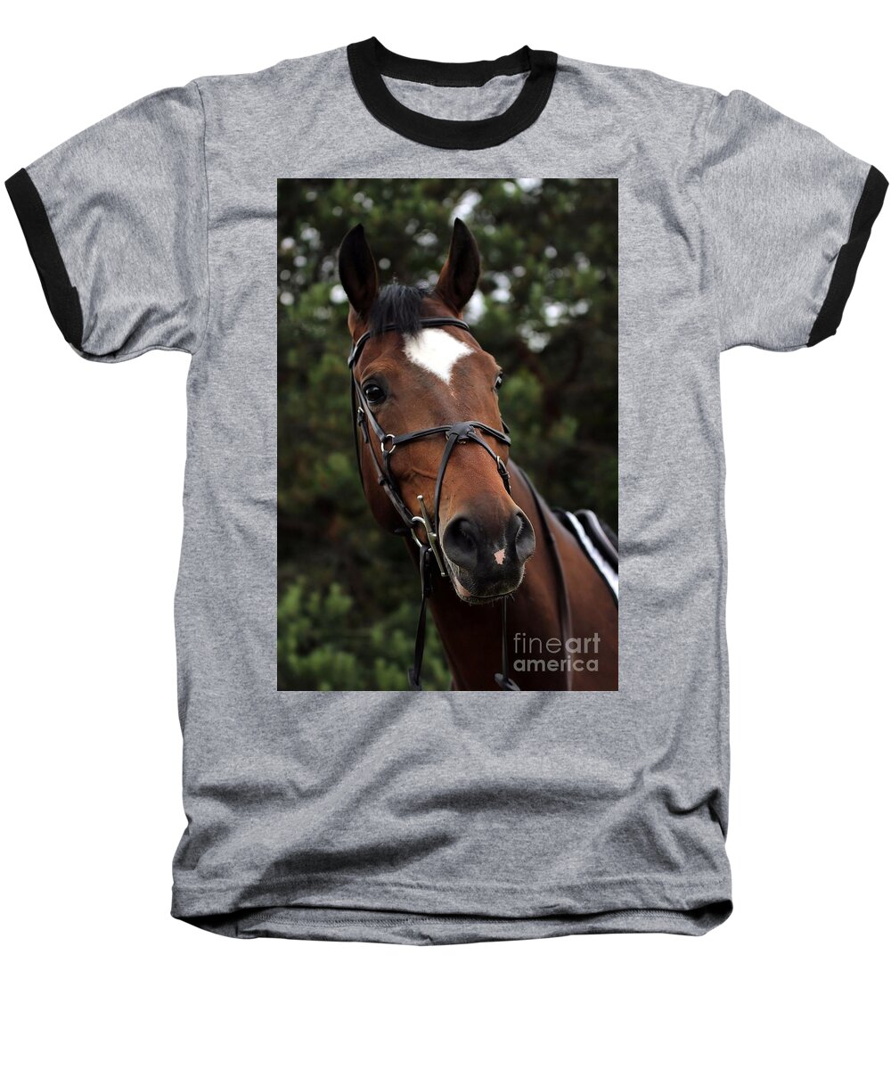 Horse Baseball T-Shirt featuring the photograph Regal Horse by Janice Byer