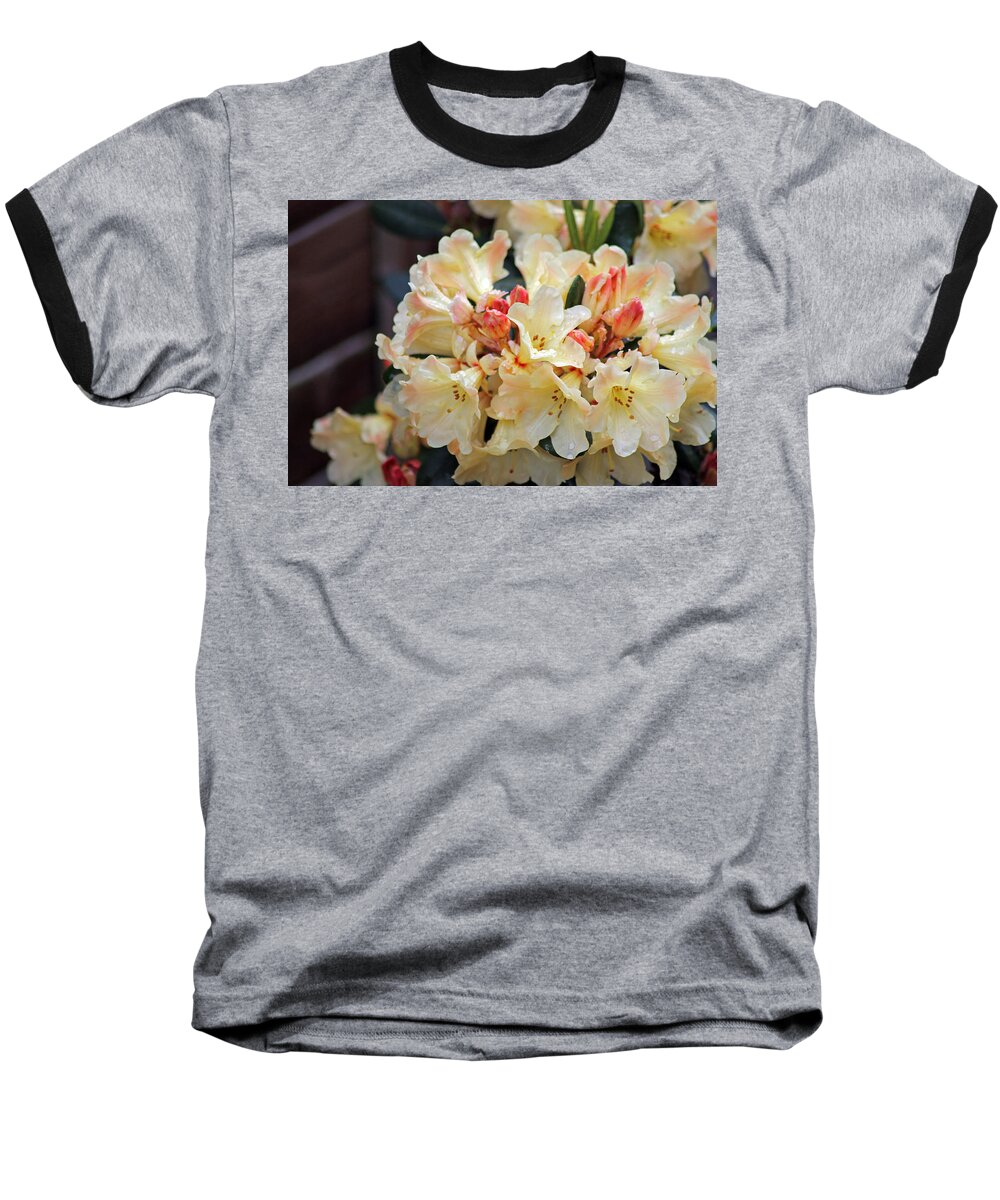 Rhododendron Nancy Evans Baseball T-Shirt featuring the photograph Rhododendron Nancy Evans by Tony Murtagh