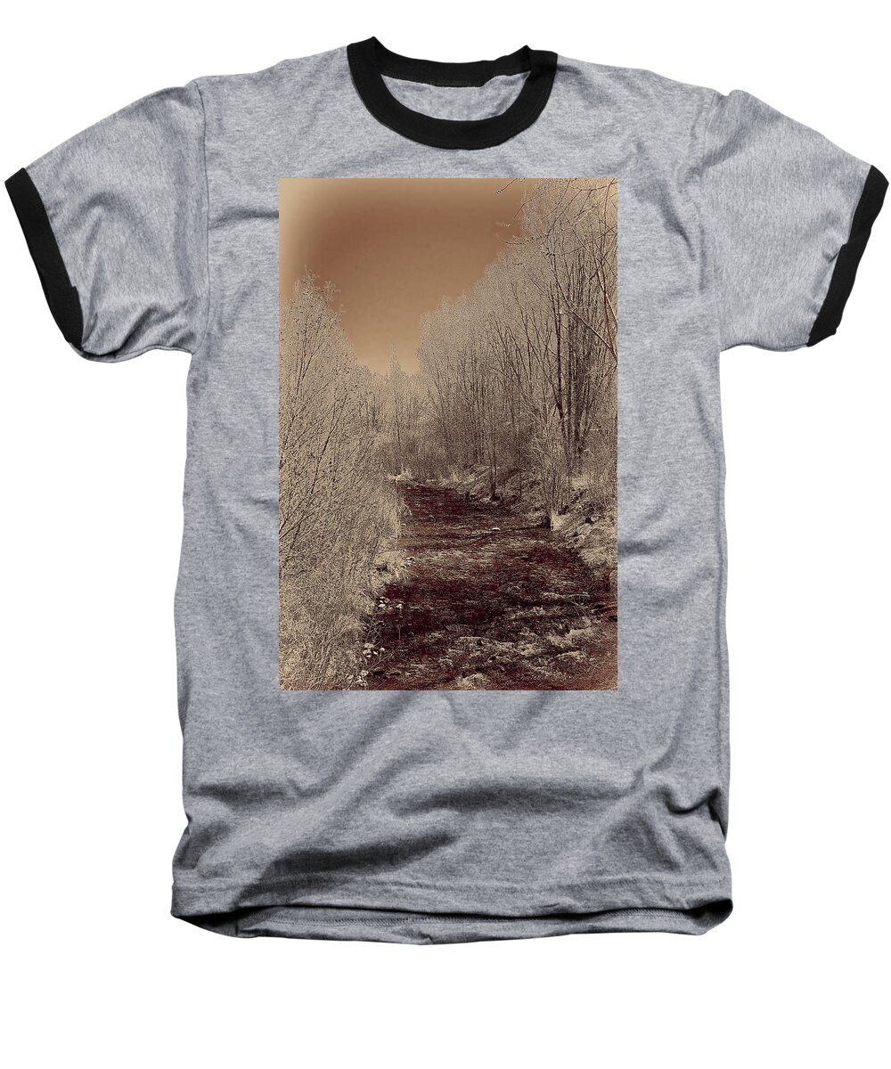  Rio Baseball T-Shirt featuring the photograph Rio Taos Bosque IV by Charles Muhle