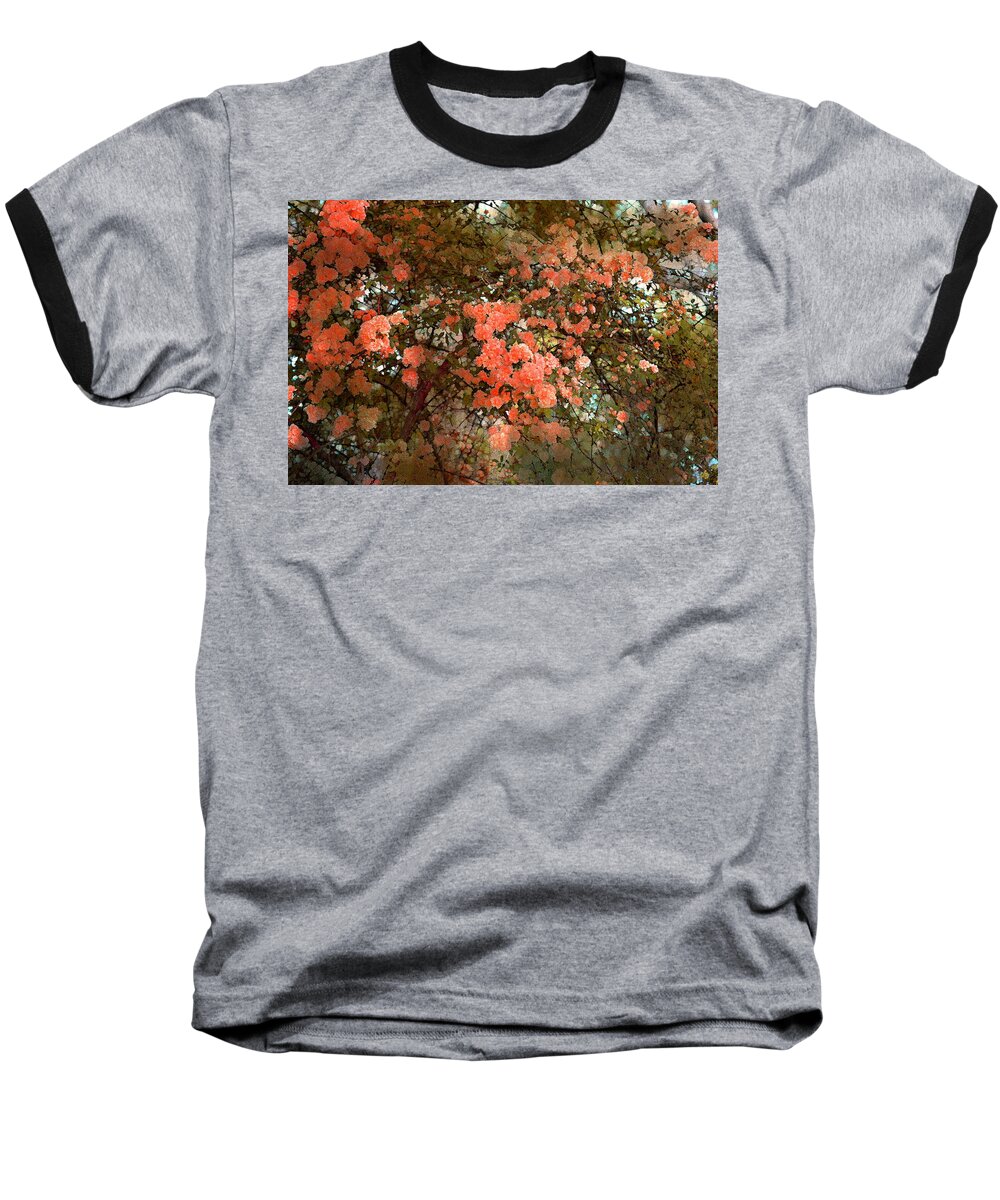 Floral Baseball T-Shirt featuring the photograph Rose 180 by Pamela Cooper