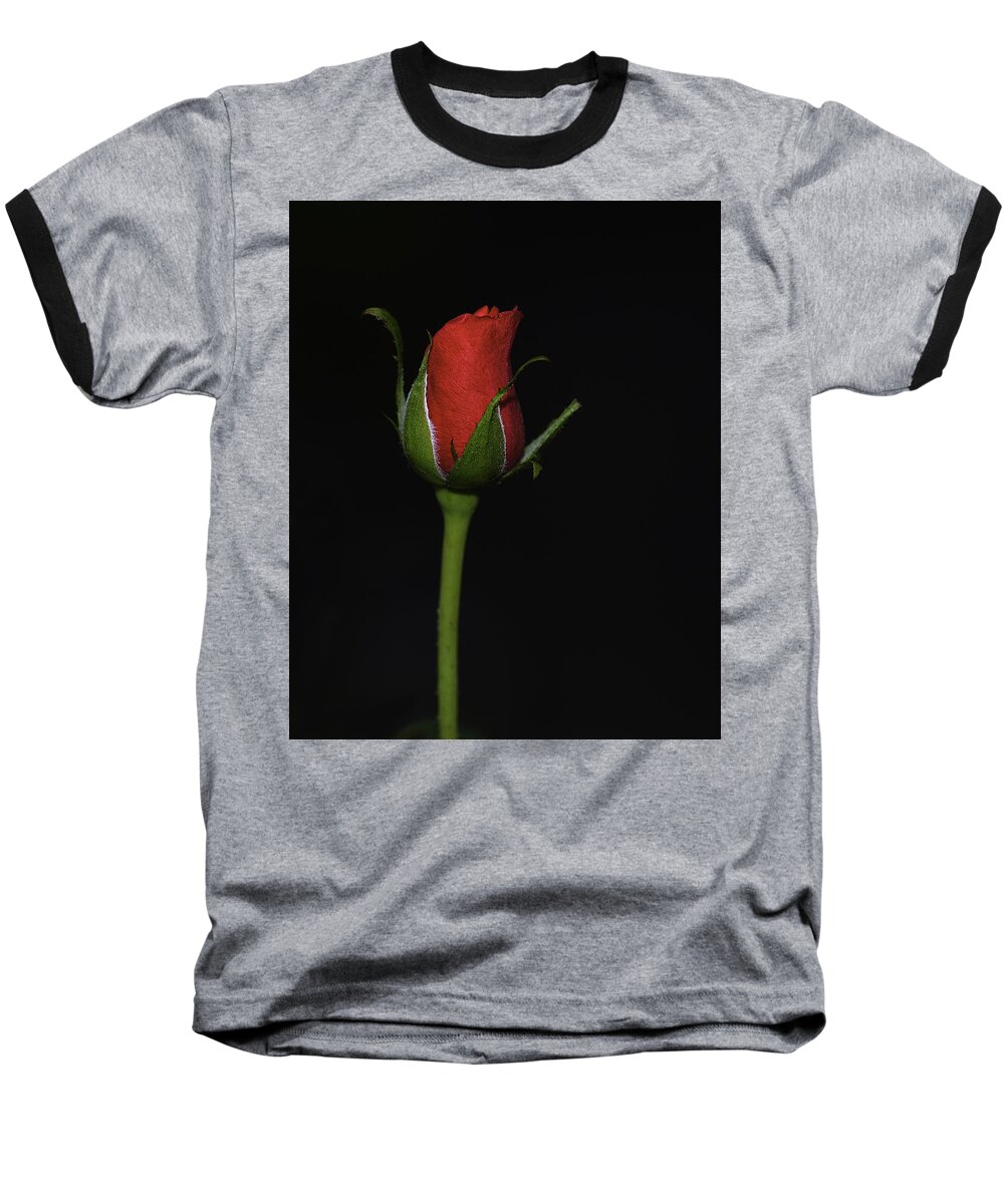 Rose Baseball T-Shirt featuring the photograph Rose Bud by William Jobes