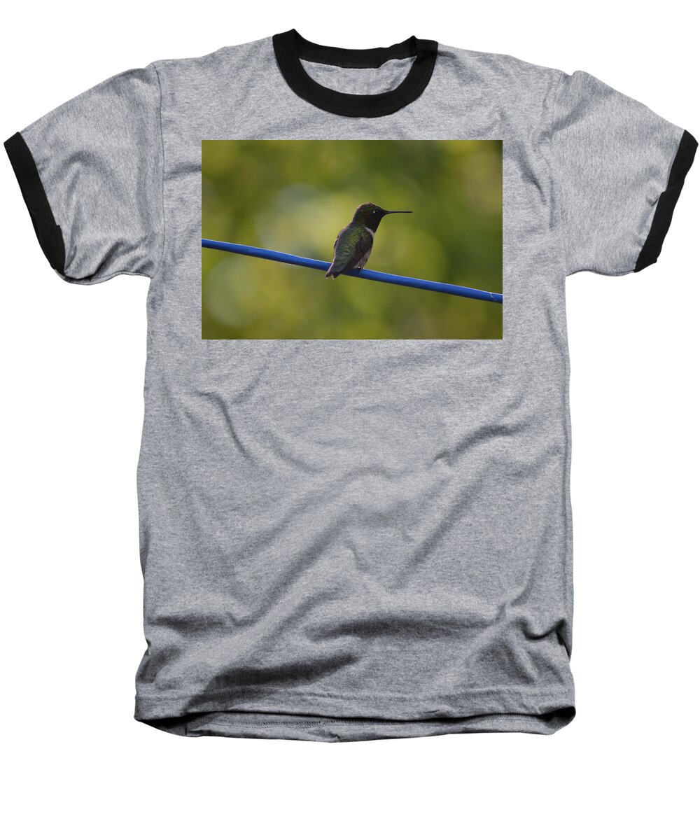 Nature Baseball T-Shirt featuring the photograph Ruby-throated Hummingbird by James Petersen