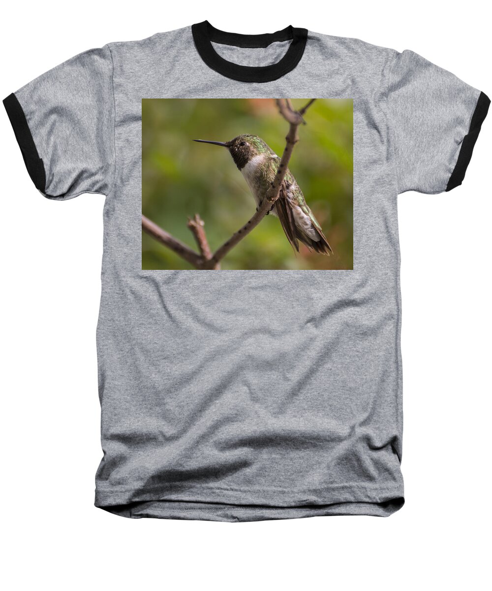 Florida Baseball T-Shirt featuring the photograph Rufous Hummingbird by Penny Lisowski
