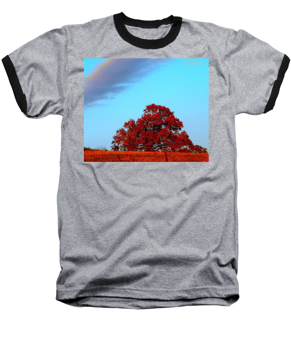 Landscape Baseball T-Shirt featuring the photograph Rural Route by Chris Berry