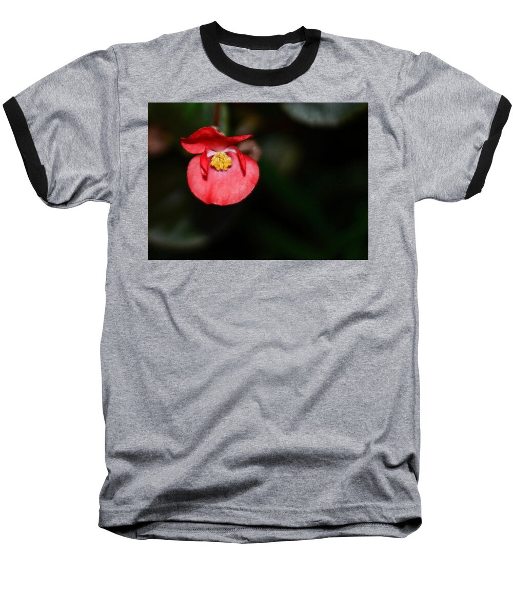 Joy Baseball T-Shirt featuring the photograph Scarlet Begonia by Connie Fox