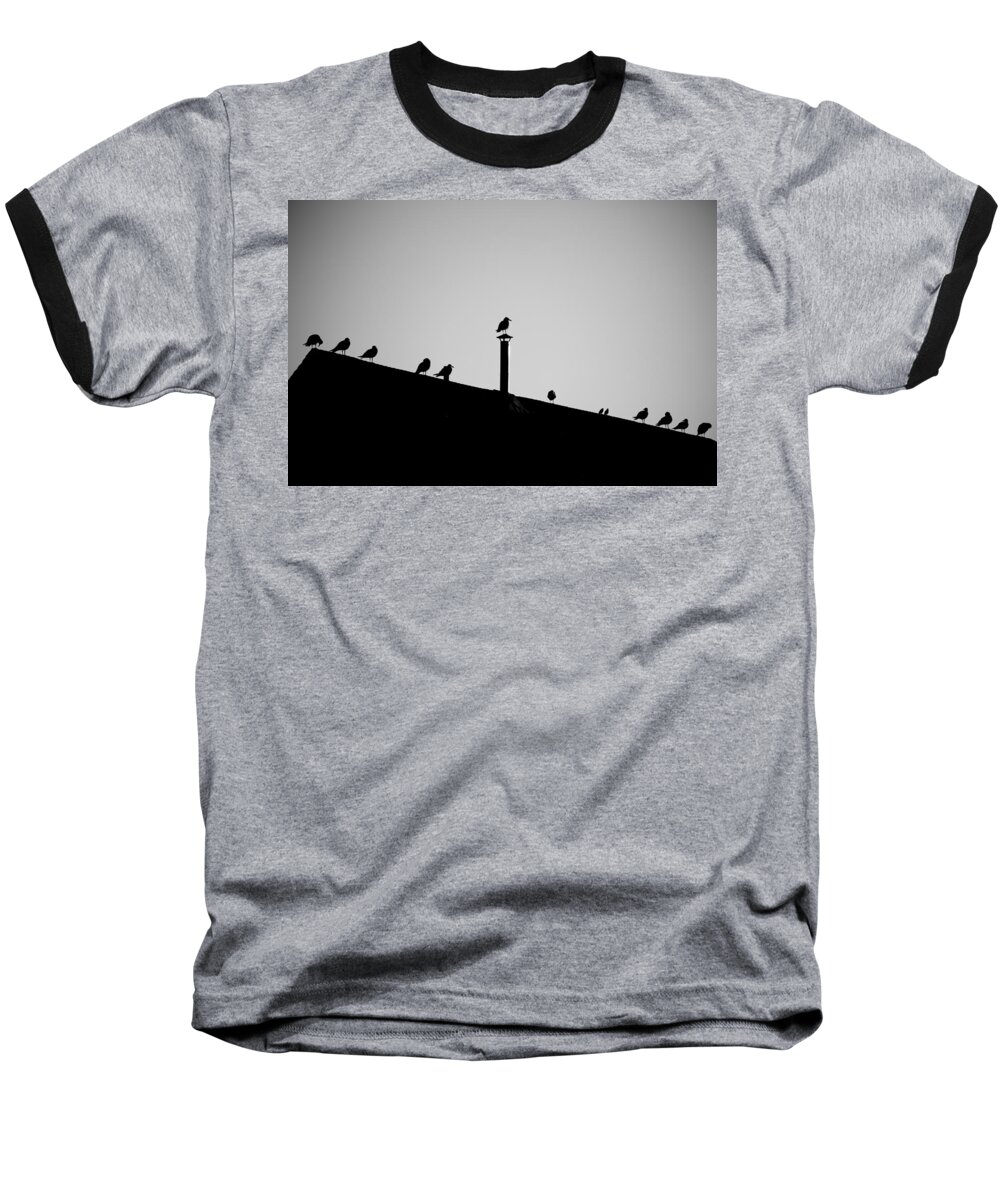 Birds Baseball T-Shirt featuring the photograph Sea Gulls in Silhouette by Allan Morrison
