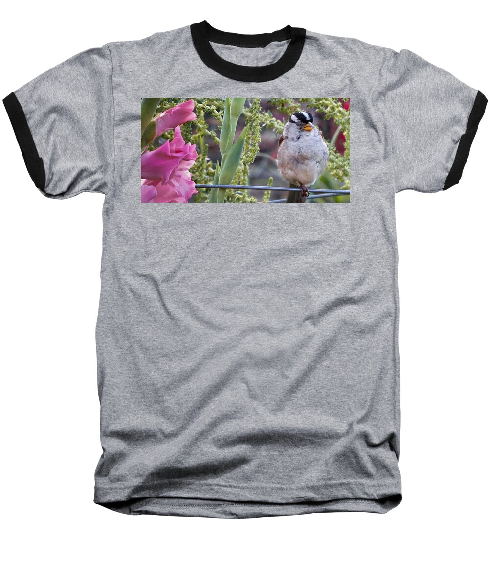 Bird Baseball T-Shirt featuring the photograph Seattle Bird by Natalie Rotman Cote