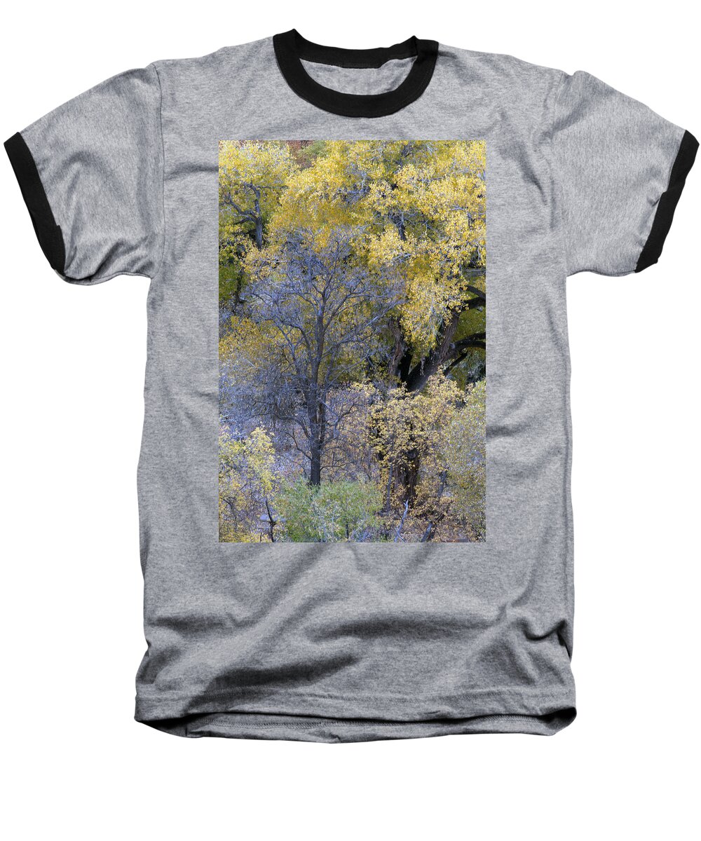 Fall Color Baseball T-Shirt featuring the photograph Sedona Fall Color by Tam Ryan