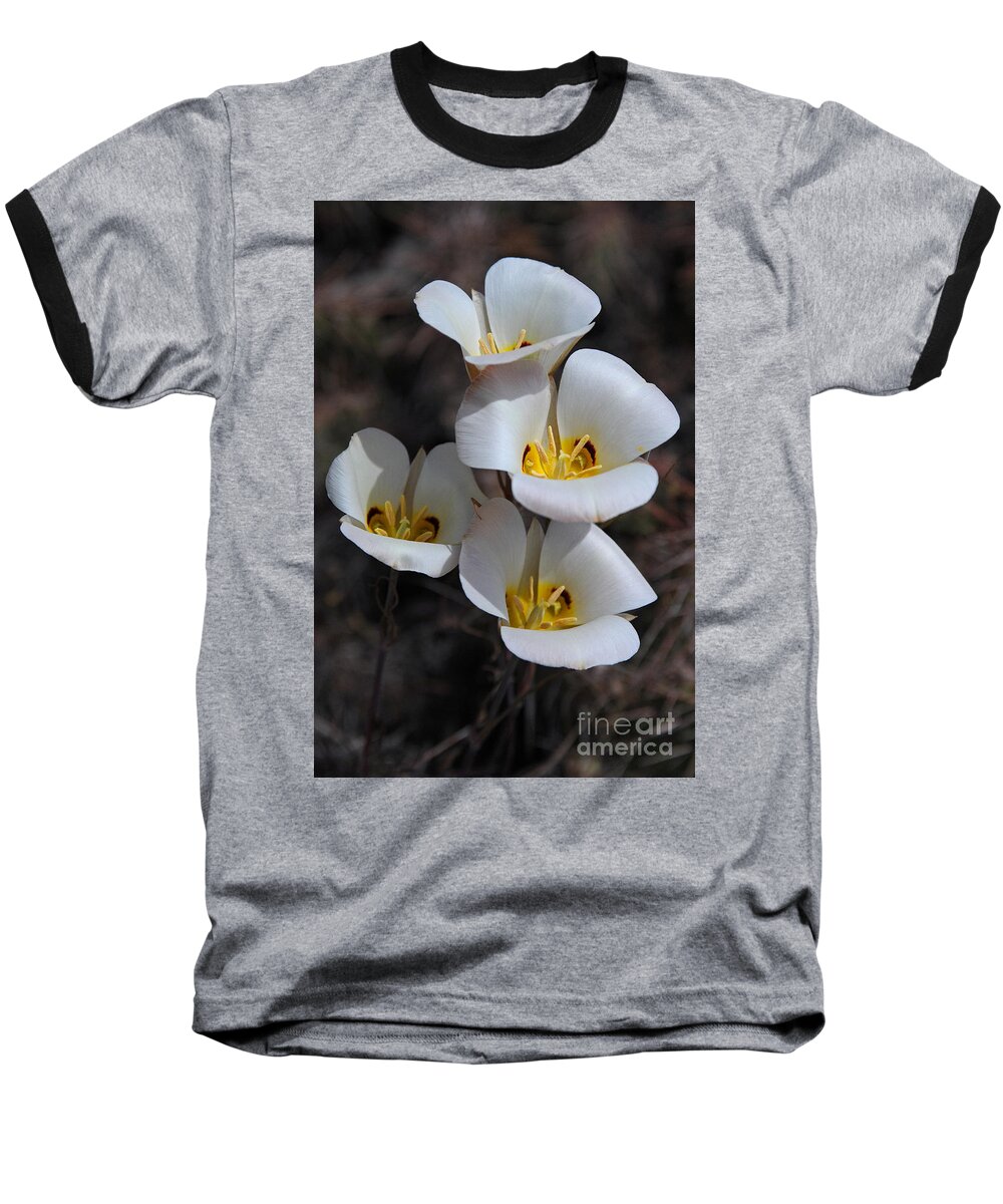 Sego Lily Baseball T-Shirt featuring the photograph Sego Lily by Vivian Christopher