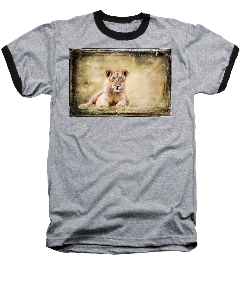 Africa Baseball T-Shirt featuring the photograph Serene Lioness by Mike Gaudaur