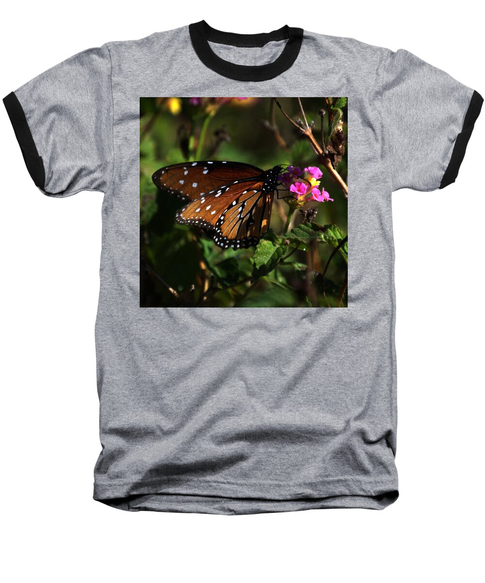 Butterfly Baseball T-Shirt featuring the photograph Shadow by Leticia Latocki