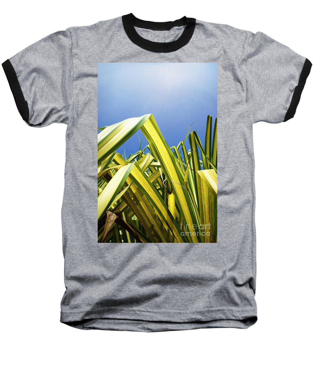 Tropic Baseball T-Shirt featuring the photograph Shape of Hawaii 9 by Ellen Cotton