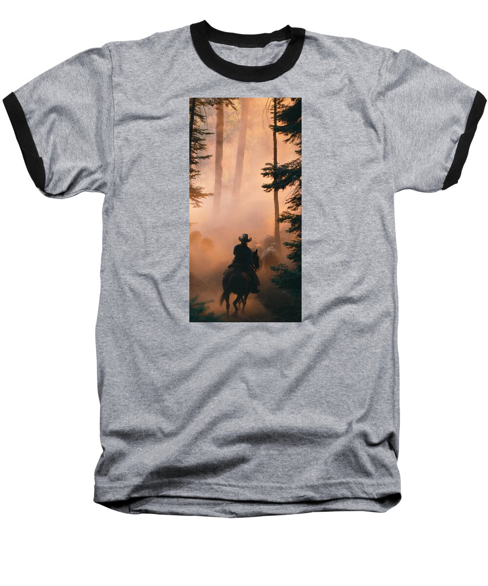 Horses Baseball T-Shirt featuring the photograph Shayna by Diane Bohna
