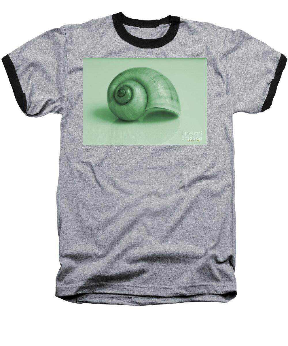 Shell Baseball T-Shirt featuring the photograph Shell. Light green by Oksana Semenchenko