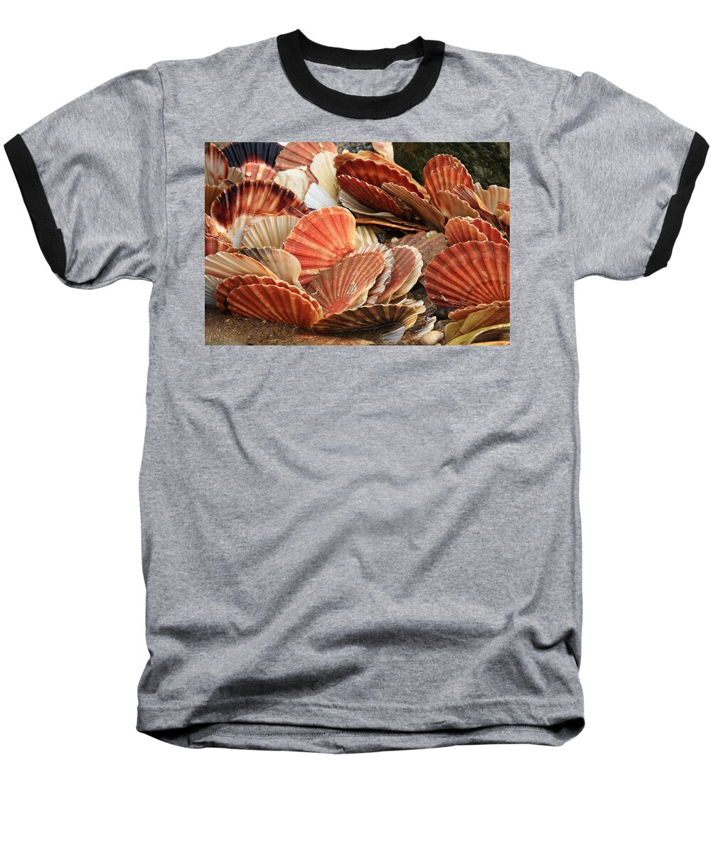 Shells Baseball T-Shirt featuring the photograph Shells On The Shore by Aidan Moran