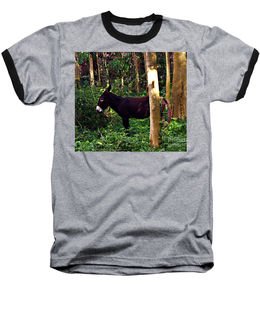 Fine Art Photography Baseball T-Shirt featuring the photograph Shhh I'm Hiding by Patricia Griffin Brett